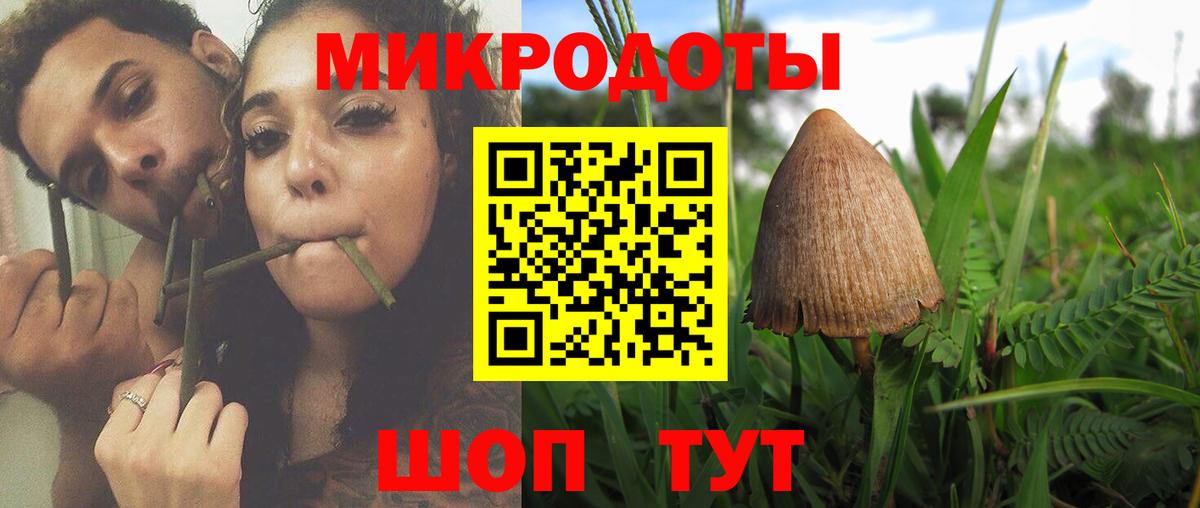 Псилоцибиновые грибы Psilocybine cubensis Сочи